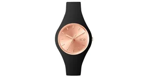 Ice  Watch Chic  ICE.CC.BRG.S.S.15