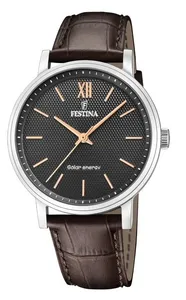 Festina Classic Solar Energy F20660/6